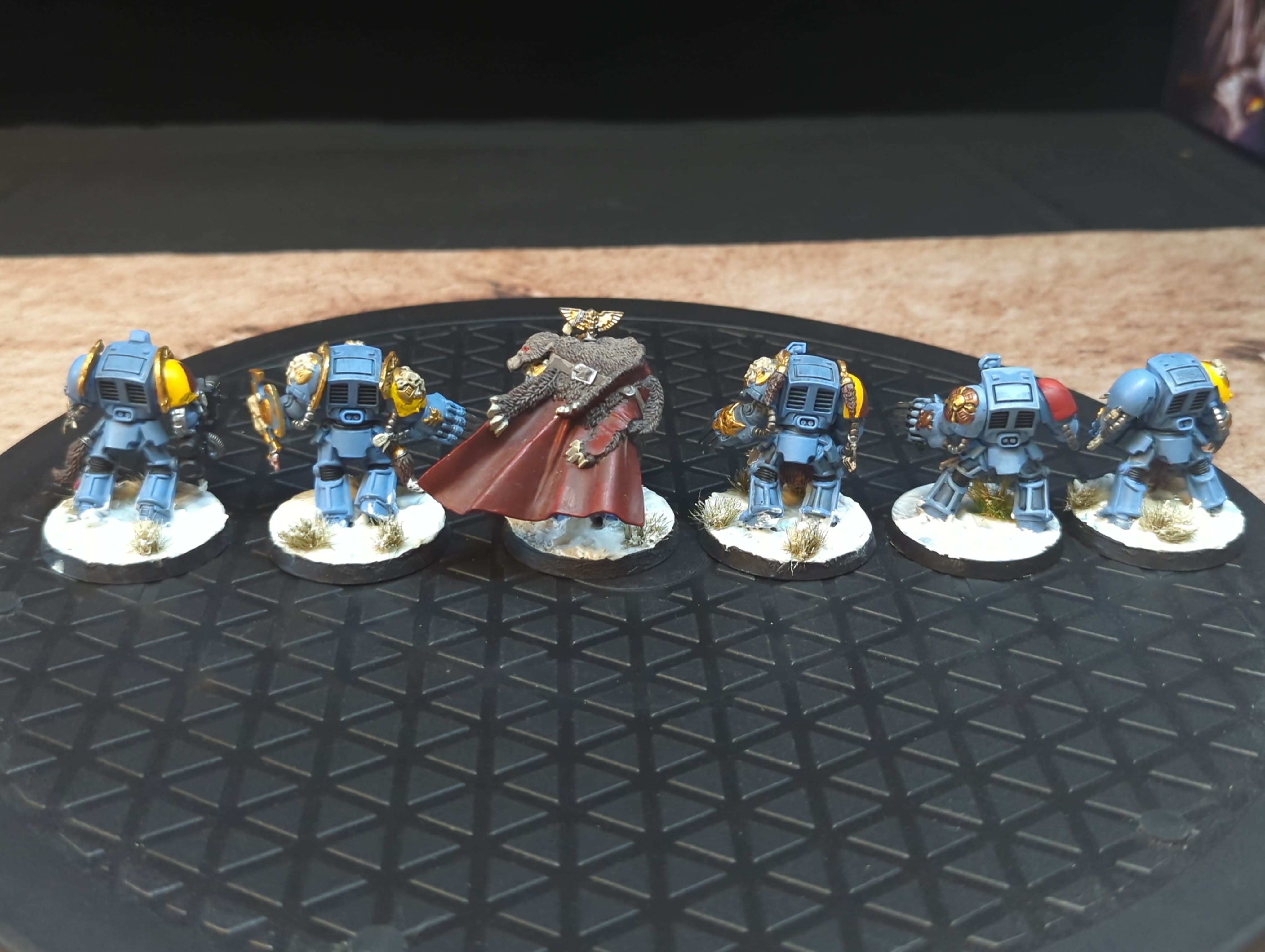Warhammer 40k Space Wolves Wolf Guard Terminators x6 Painted