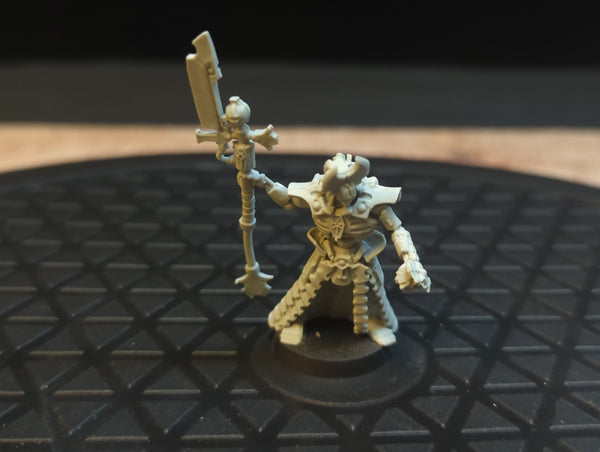 Warhammer 40k Necrons Arankar the Traveller x1