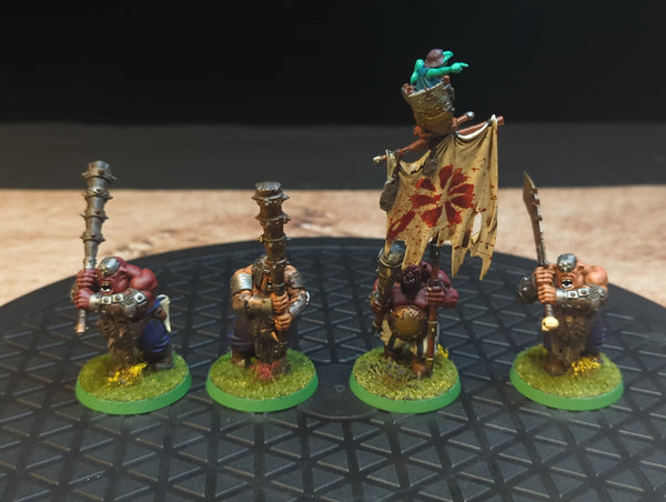 Age of Sigmar Ogor Mawtribes Ironguts x4 Painted