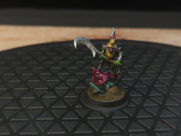 Age of Sigmar Gloomspite Gitz Loonboss x1 Painted