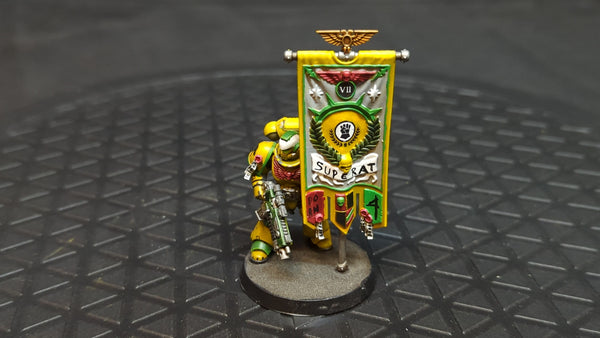 Warhammer 40k Space Marines Primaris Ancient x1 Painted