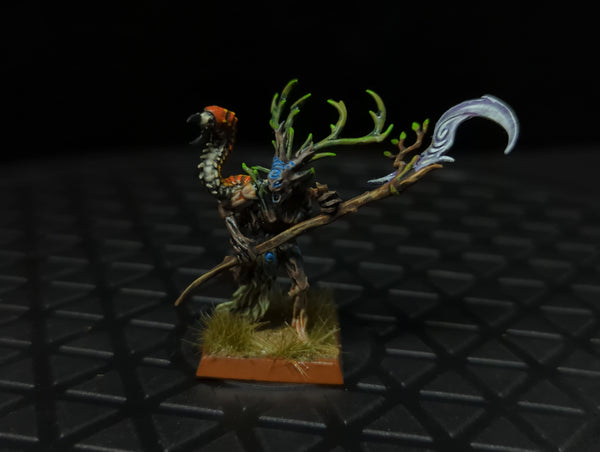 Age of Sigmar Sylvaneth Branchwych x1 Painted