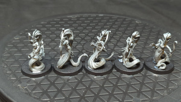 Age of Sigmar Daughters of Khaine Blood Stalkers x5