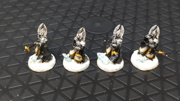 Lord of the Rings Middle-Earth Middle-Earth Guards of the Fountain Court x4 Painted