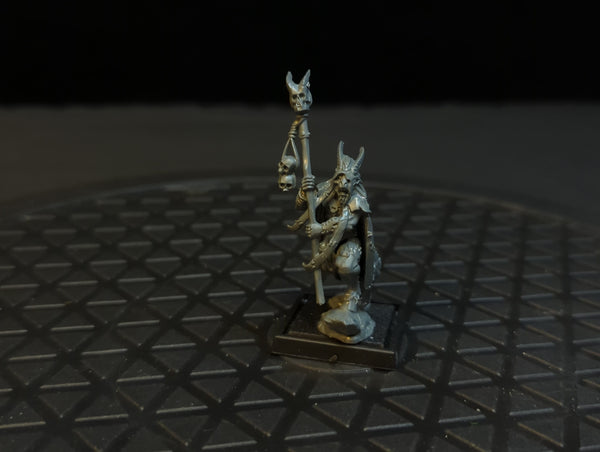 The Old World Beastmen Brayherds Beastman Shaman x1