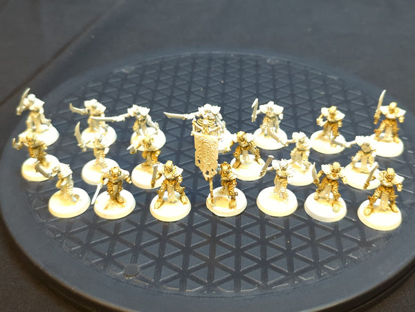 Age of Sigmar Ossiarch Bonereapers Mortek Guard x20
