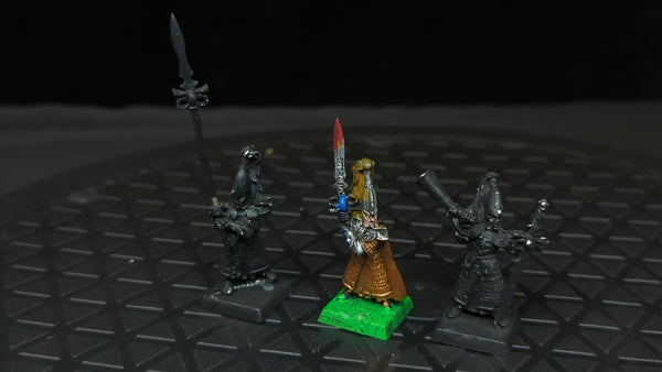 The Old World High Elf Realms Swordmasters of Hoeth (OOP Metal) x6