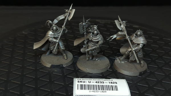 Age of Sigmar Stormcast Eternals Praetors x3