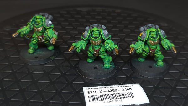 Warhammer 40k Space Marines Primaris Aggressors x3