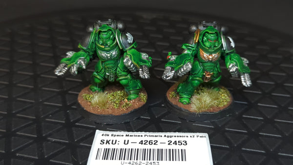 Warhammer 40k Space Marines Primaris Aggressors x2 Painted