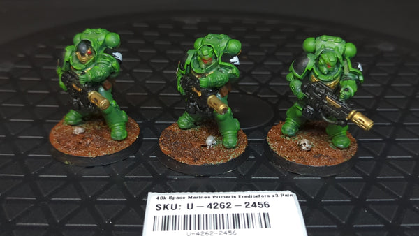 Warhammer 40k Space Marines Primaris Eradicators x3 Painted