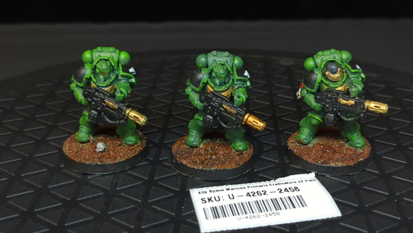 Warhammer 40k Space Marines Primaris Eradicators x2 Painted
