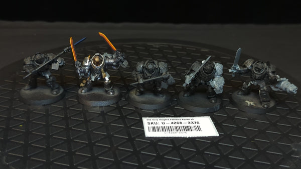 Warhammer 40k Grey Knights Paladins Squad x5