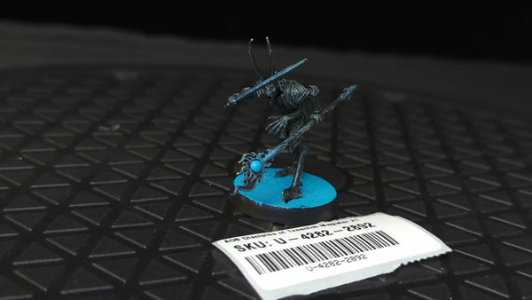 Age of Sigmar Disciples of Tzeentch Magister x1
