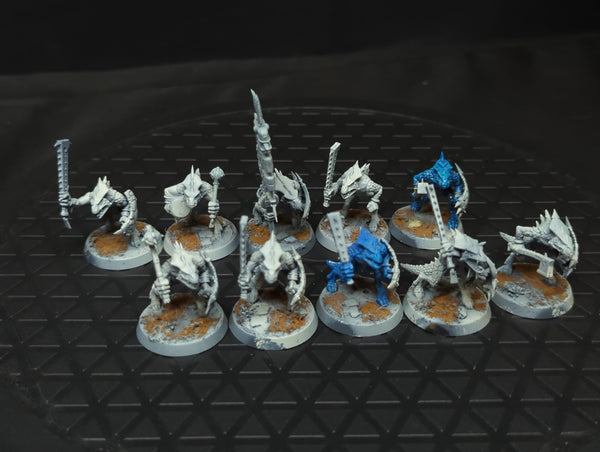 Age of Sigmar Seraphon Saurus Warriors (old) x10