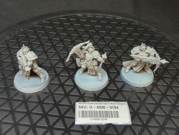 Age of Sigmar Stormcast Eternals Easy to Build Castigators x3