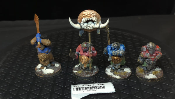 Age of Sigmar Ogor Mawtribes Ironguts x4 Painted