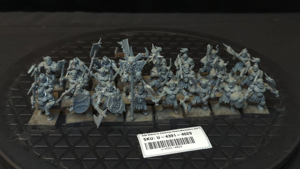 Age of Sigmar Slaves to Darkness Chaos Marauders (Old Model) x24