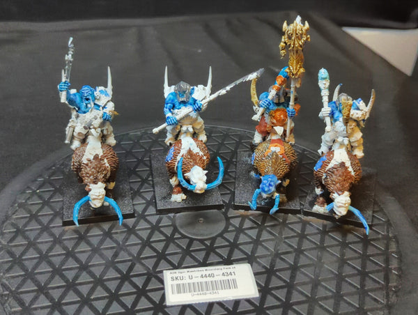 Age of Sigmar Ogor Mawtribes Mournfang Pack x4