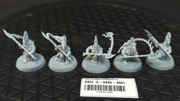 Age of Sigmar Fyreslayers Hearthguard x5