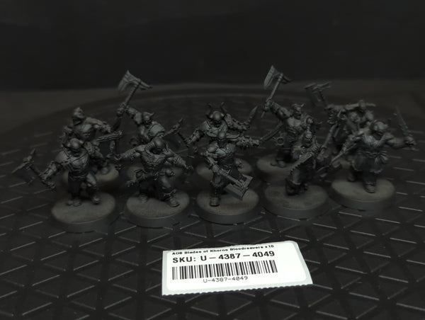 Age of Sigmar Blades of Khorne Bloodreavers x10