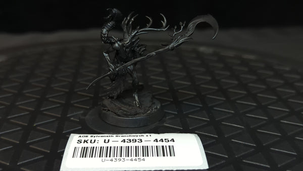 Age of Sigmar Sylvaneth Branchwych x1