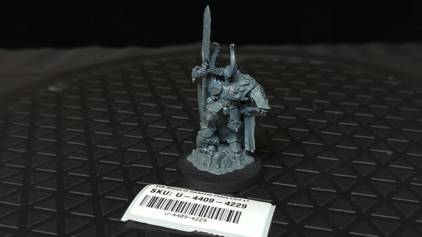 Age of Sigmar Slaves to Darkness Chaos Lord x1