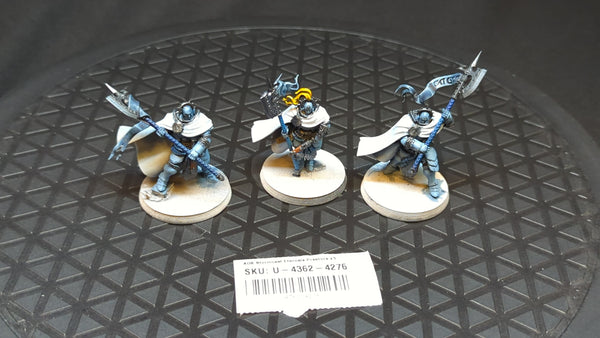 Age of Sigmar Stormcast Eternals Praetors x3