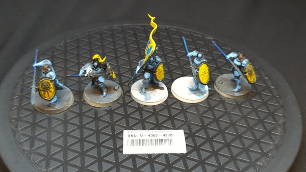 Age of Sigmar Stormcast Eternals Vindictors x5