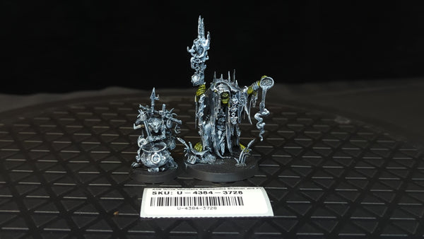 Age of Sigmar Orruk Warclans Swampcalla Shaman and Pot-grot x1