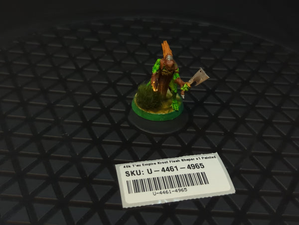 Warhammer 40k T'au Empire Kroot Flesh Shaper x1 Painted