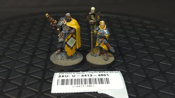 Age of Sigmar Cities of Sigmar Freeguild Marshal and Relic Envoy x2 Painted