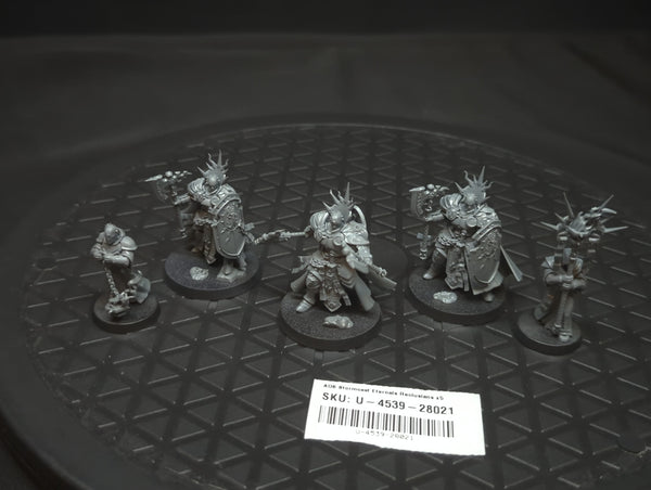 Age of Sigmar Stormcast Eternals Reclusians x5