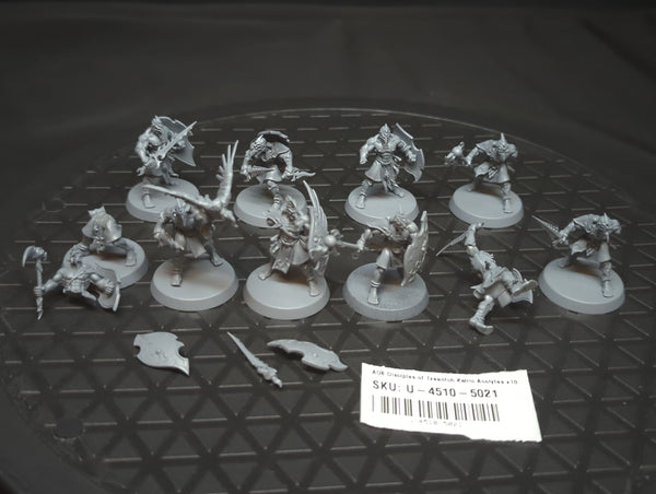 Age of Sigmar Disciples of Tzeentch Kairic Acolytes x10
