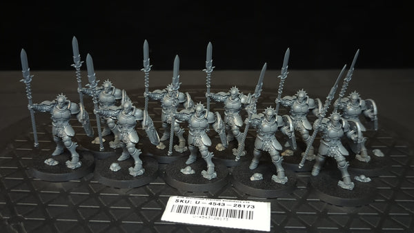 Age of Sigmar Stormcast Eternals Vindictors x10