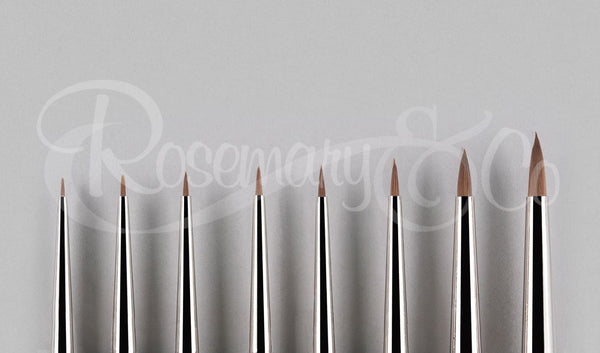 Rosemary & Co Series Red Dot Mini Spotters Vegan - CHOOSE YOUR SIZE