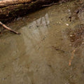 AK Interactive Water Gel Swamp Green Effects - 250ml