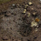 AK Interactive Terrains Muddy Ground - 250ml