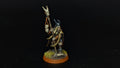 Age of Sigmar Beasts of Chaos Great Bray-Shaman WELL PAINTED (342)
