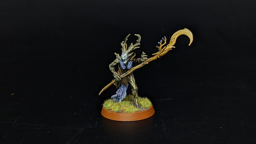 Age of Sigmar Sylvaneth Branchwych WELL PAINTED (342)