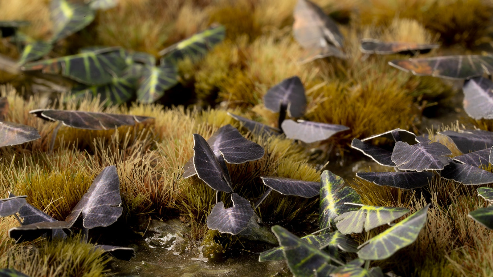 Gamer's Grass Laser Plants - Black Magic Taro