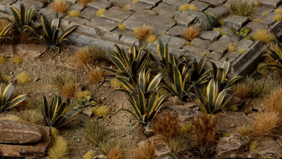 Gamer's Grass Laser Plants - Agave