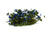 Gamer's Grass Tufts - Wild Blue Flowers