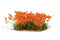 Gamer's Grass Tufts - Wild Orange Flowers