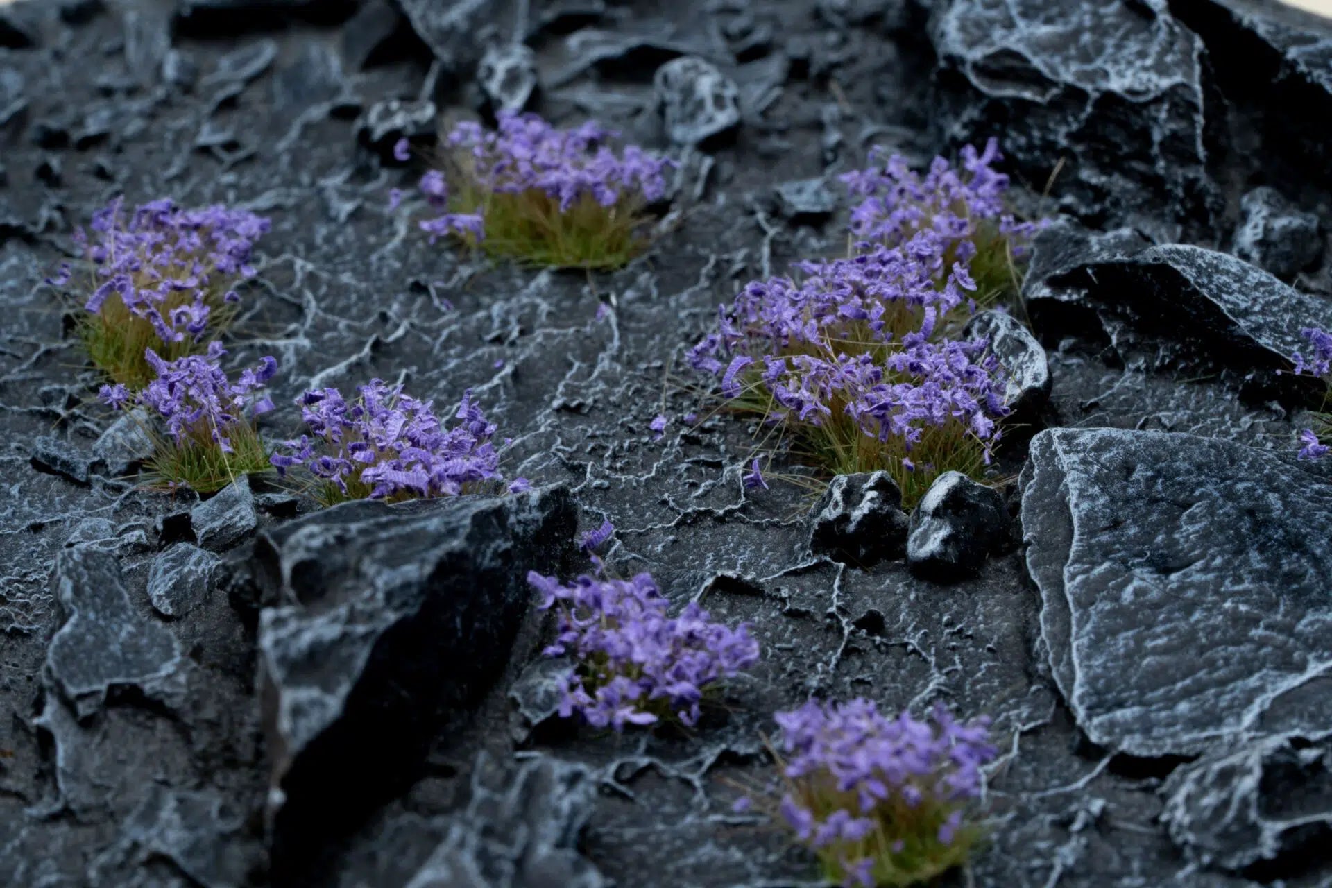 Gamer's Grass Tufts - Wild Violet Flowers