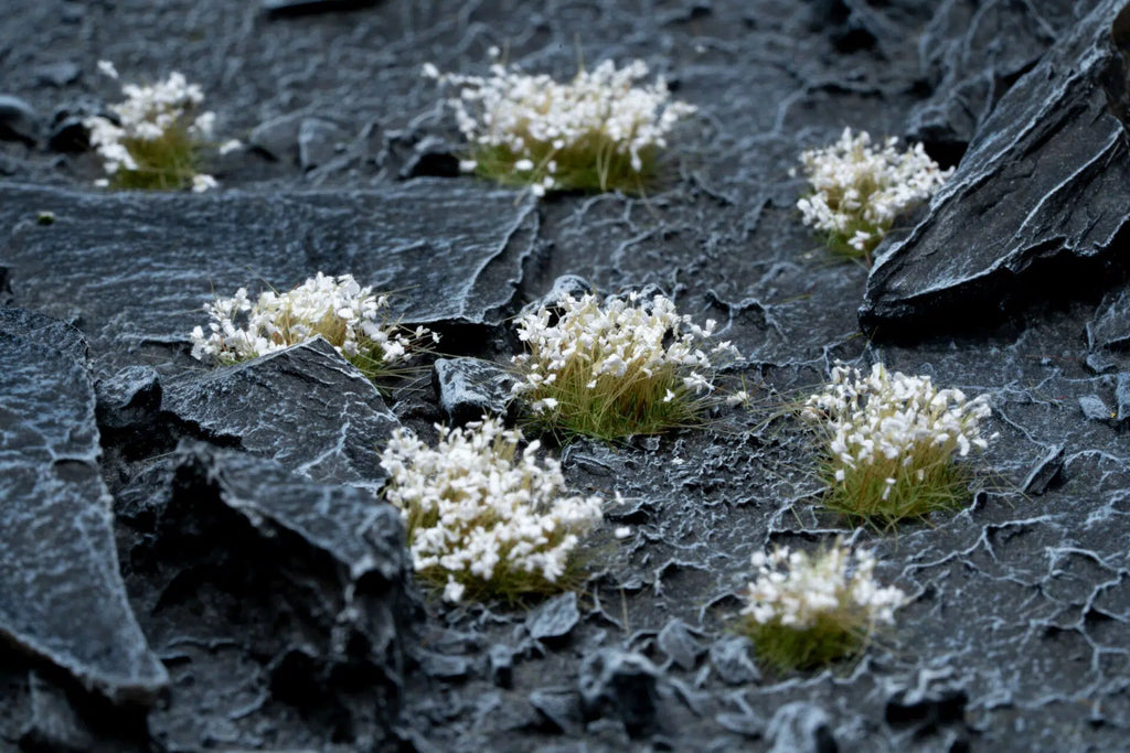 Gamer's Grass Tufts - Wild White Flowers