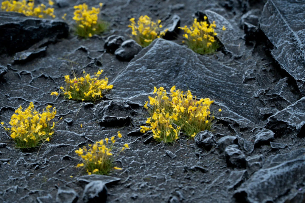 Gamer's Grass Tufts - Wild Yellow Flowers