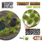 GSW Thorny Spiky Scrub - Light Green